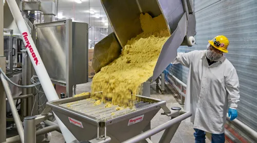 Food-Grade Conveyors & Bulk Handling
